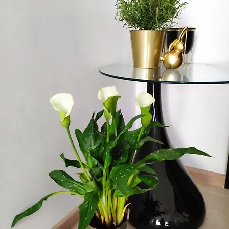 Aleje Jerozolimskie Apartamento Varsovia