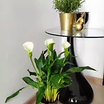 Aleje Jerozolimskie Appartement Varsovie