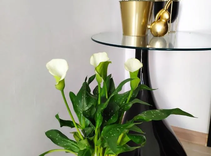 Aleje Jerozolimskie Apartman Varsó