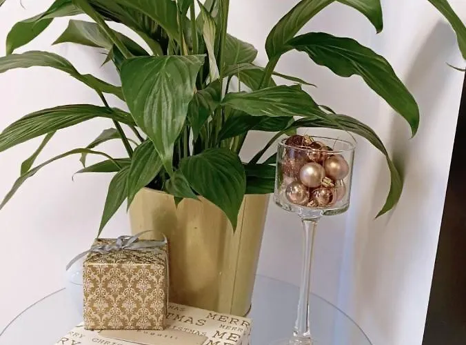 Apartman Aleje Jerozolimskie *