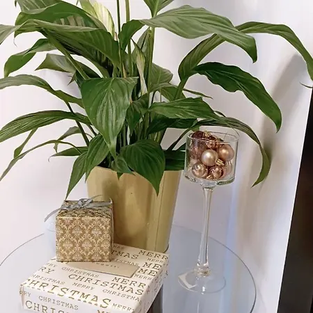 아파트 Aleje Jerozolimskie *